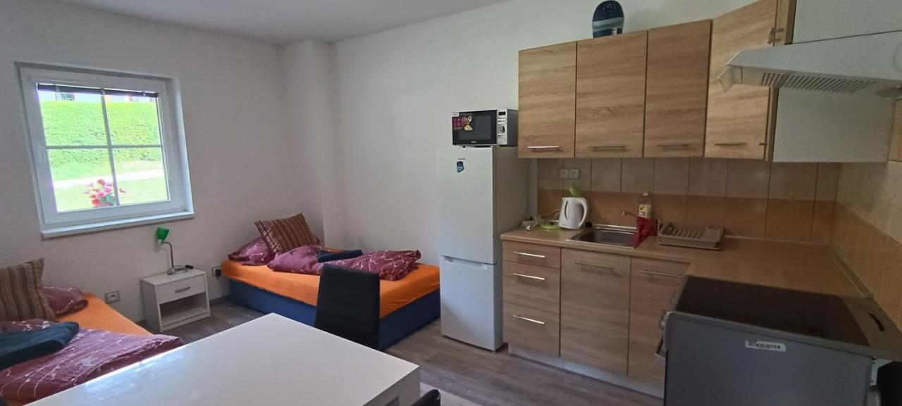 Ferienwohnung Apartmán u Lebedů Strazny Exterior foto